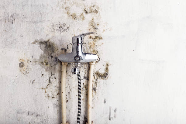 Best Residential Mold Removal  in Oakland, CA