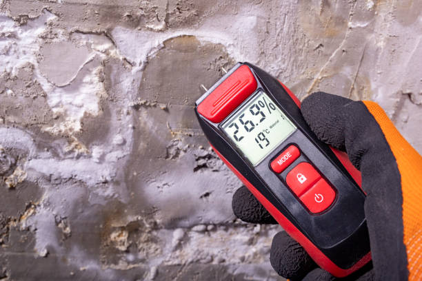 Best Mold Testing  in Oakland, CA