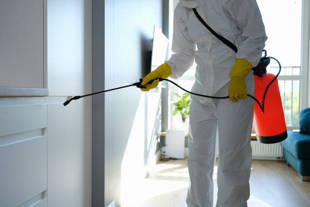 Best Emergency Mold Removal  in Oakland, CA