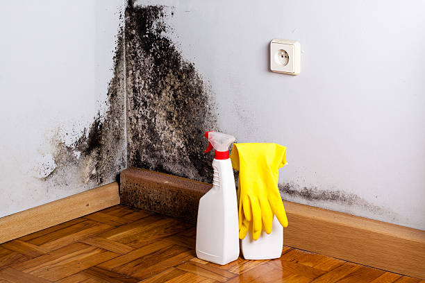 Best Crawl Space Mold Removal  in Oakland, CA
