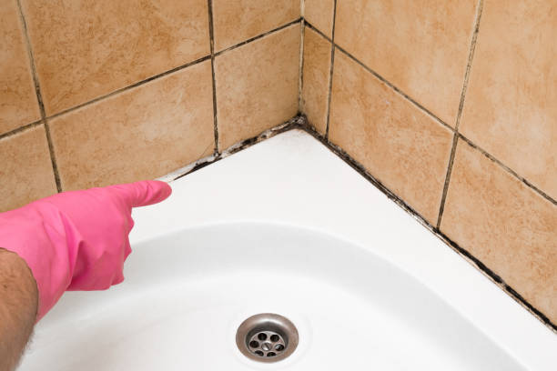 Best Certified Mold Removal  in Oakland, CA